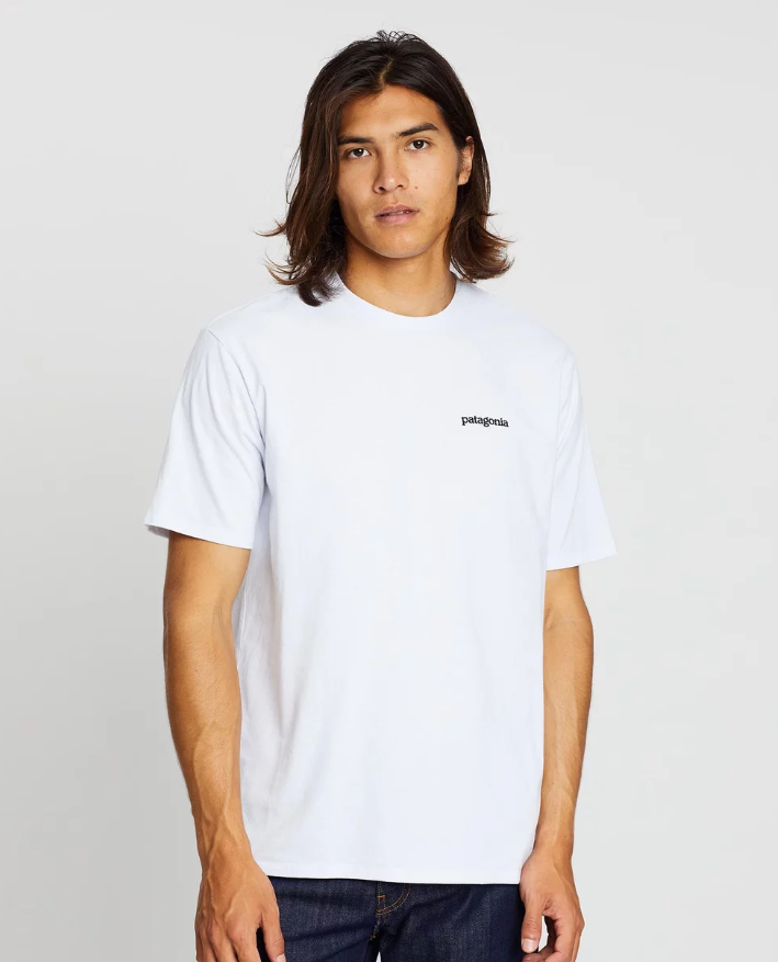 mens shirts, patagonia, mens tshirt, casual white shirt
