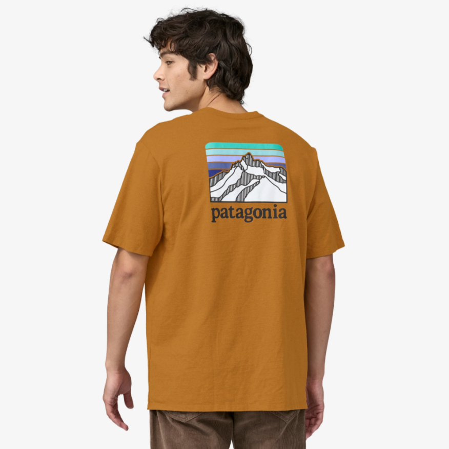 Patagonia, mens tee, mens shirts, mens casual shirts