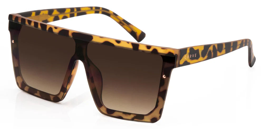 MUSE, TORT BROWN, CARVE, SUNGLASSES